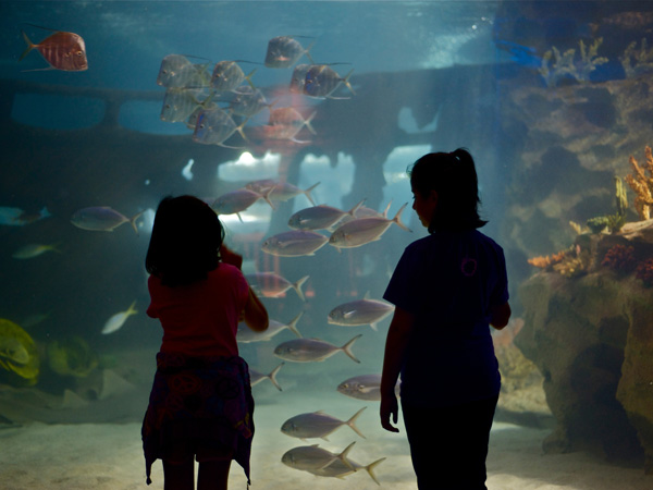 20120919202726_prime 20120919202726_prime