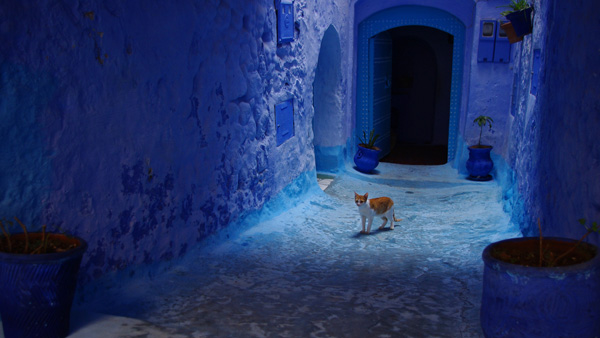 20120921175501_imgp6035bis3 20120921175501_imgp6035bis3