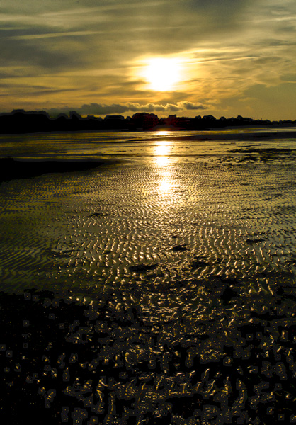 20120921230716_soleil_d_or001 20120921230716_soleil_d_or001