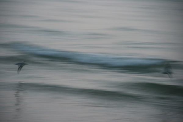 20120924132549_l_echappee_30 20120924132549_l_echappee_30