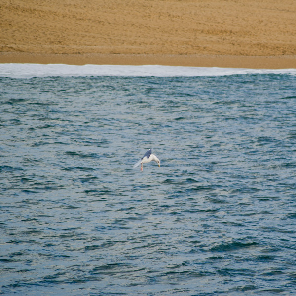 20120924134930_dsc04417 20120924134930_dsc04417