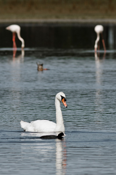 20120925150628_instant_de_biodiversite 20120925150628_instant_de_biodiversite