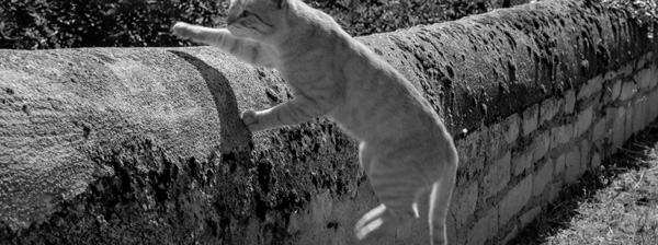 20120930105133_voyage_chinon_051 20120930105133_voyage_chinon_051