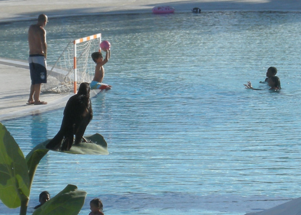 20121001035007_dscn7961 20121001035007_dscn7961