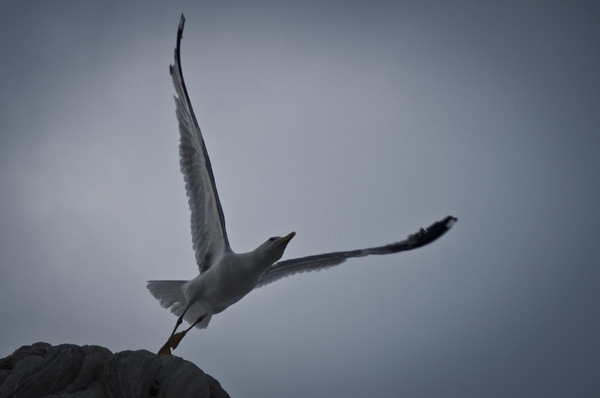 20120928212441_instant_1 20120928212441_instant_1