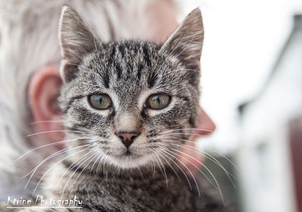 20120929140905_img_6534_modifier 20120929140905_img_6534_modifier