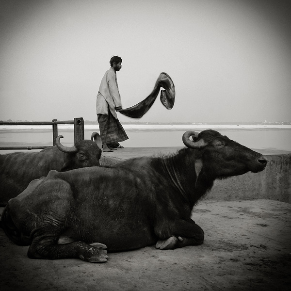 20120929181540_scene_de_menage 20120929181540_scene_de_menage