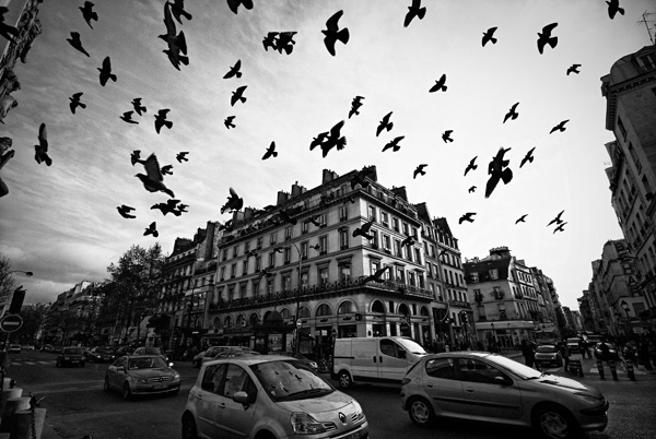 20120929185555_dsc08206final_dxo 20120929185555_dsc08206final_dxo