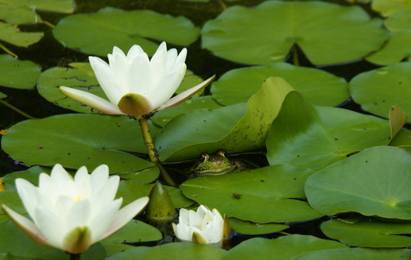 20121002011943_20110727_1 20121002011943_20110727_1