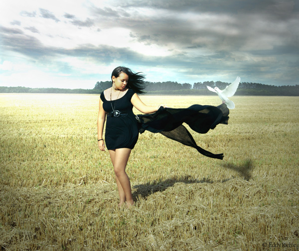 20121001140544_white_fly 20121001140544_white_fly