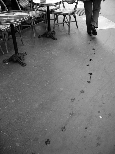 20121001163302_traces_de_chien_prêt 20121001163302_traces_de_chien_prêt