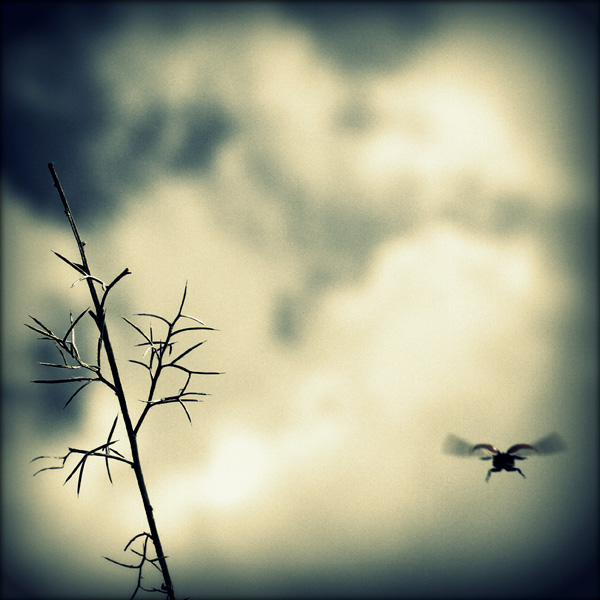 20121001170954_snapshot__8581 20121001170954_snapshot__8581