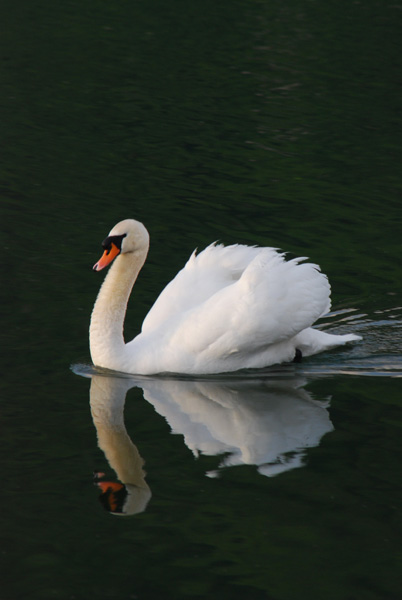 20121001172152_dsc_0084 20121001172152_dsc_0084