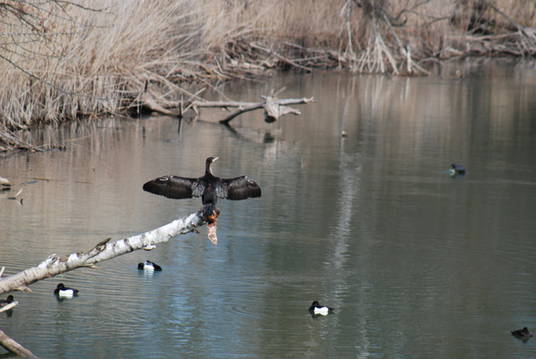 20121001174520_dsc_0060 20121001174520_dsc_0060