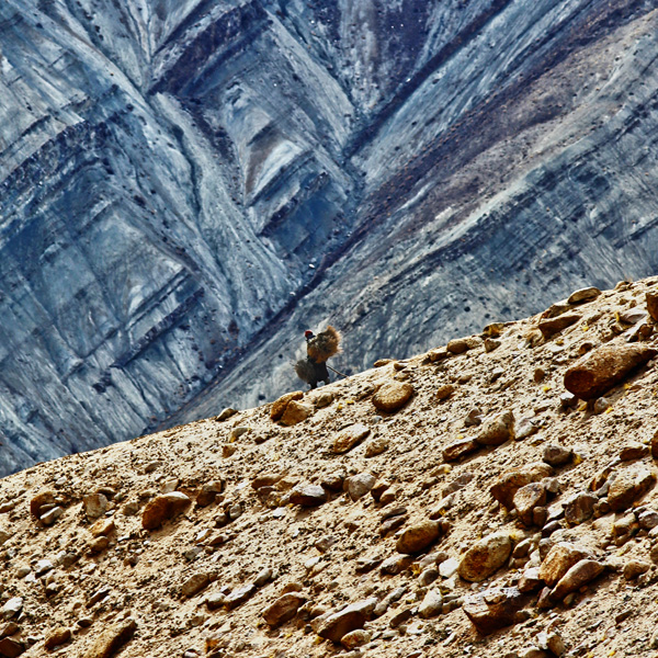 20121001201917_eb9c9743_sq 20121001201917_eb9c9743_sq