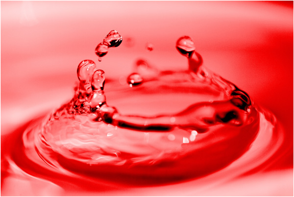 20121001202644_img_3940rouge 20121001202644_img_3940rouge