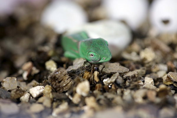 20121002100422_ba2012_09_23121 20121002100422_ba2012_09_23121