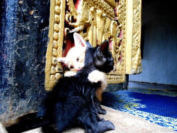 20121002112904_dscn0374 20121002112904_dscn0374