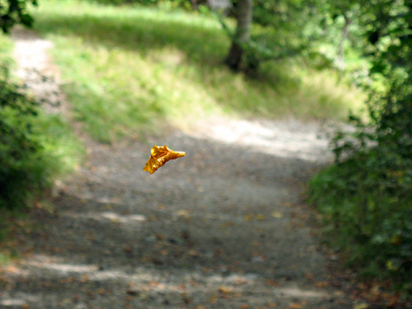 20121002174631_080911_088 20121002174631_080911_088