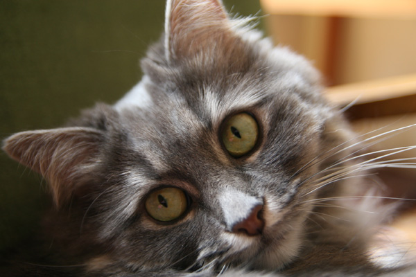 20121003113621_img_9945 20121003113621_img_9945