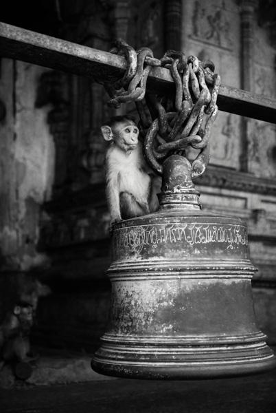 20121003130427_temple_de_virupaksha__hampi_inde_natacha_jouffreau 20121003130427_temple_de_virupaksha__hampi_inde_natacha_jouffreau