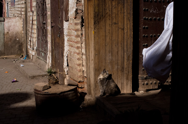 20121003165236_medina___benedicte_guillon 20121003165236_medina___benedicte_guillon