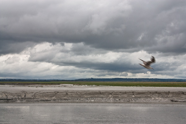 20121003200942__mg_2557 20121003200942__mg_2557