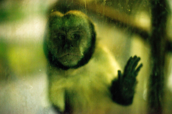 20121003212405_dsc_3174 20121003212405_dsc_3174