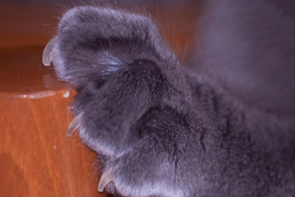 20121004093959_191111_499070606787217_623349156_o 20121004093959_191111_499070606787217_623349156_o