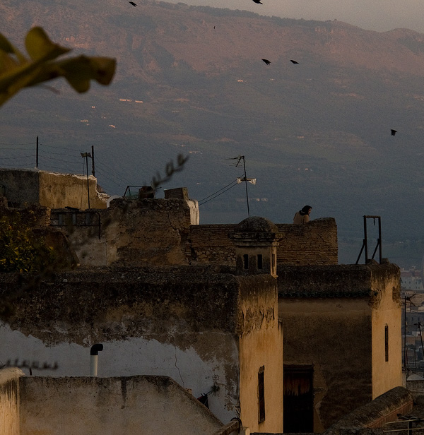 20121004094532_la_dame_au_soleil_levant 20121004094532_la_dame_au_soleil_levant