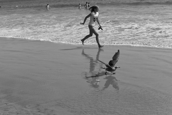 20121004124037_kamel_moussa 20121004124037_kamel_moussa