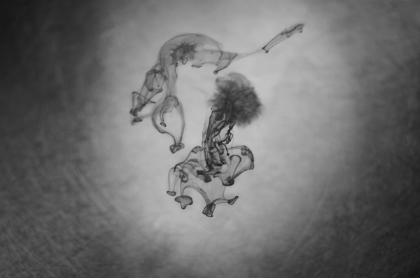 20121004160038_eva_tinghino 20121004160038_eva_tinghino