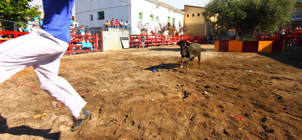 20121004181910_corrida_morata_de_jalon 20121004181910_corrida_morata_de_jalon