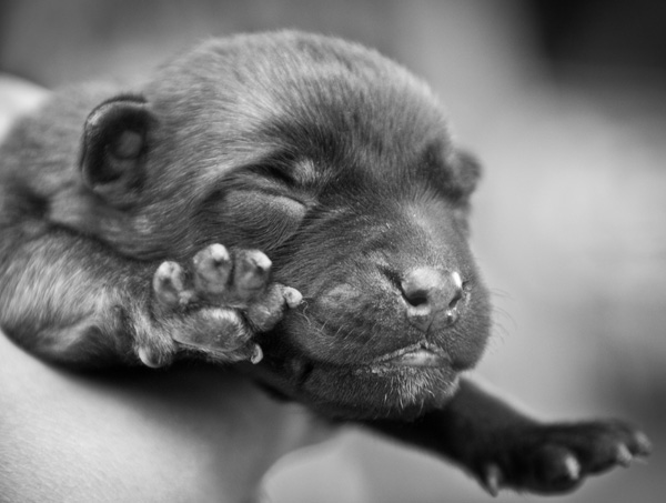 20121004203015_dsc_8634 20121004203015_dsc_8634