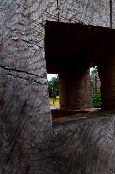 20121004214224_la_fille_papillon_1_2 20121004214224_la_fille_papillon_1_2