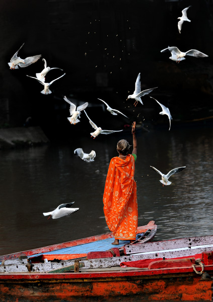 20121004112343_instant_dec_comp_photo 20121004112343_instant_dec_comp_photo