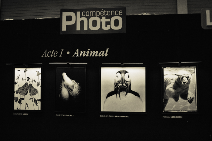 © Pascal Nitkowski © Pascal Nitkowski