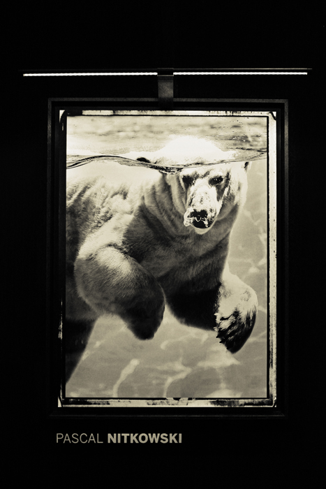 © Pascal Nitkowski © Pascal Nitkowski