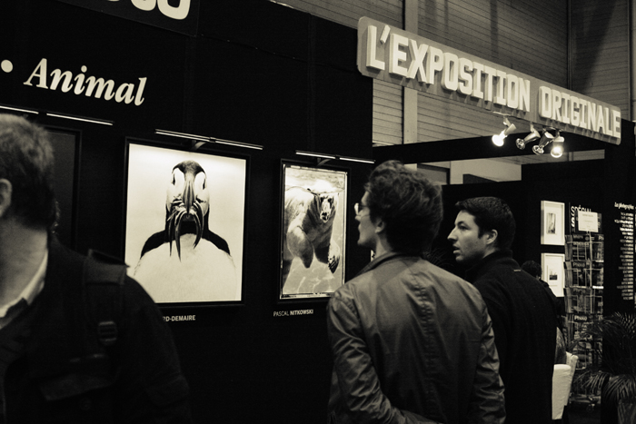 © Pascal Nitkowski © Pascal Nitkowski