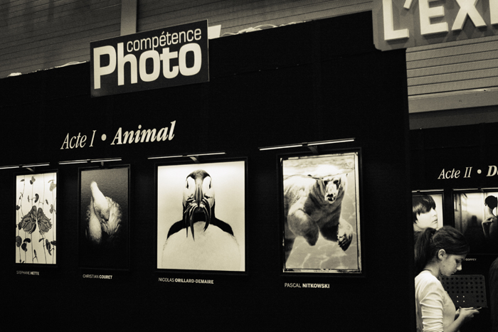 © Pascal Nitkowski © Pascal Nitkowski