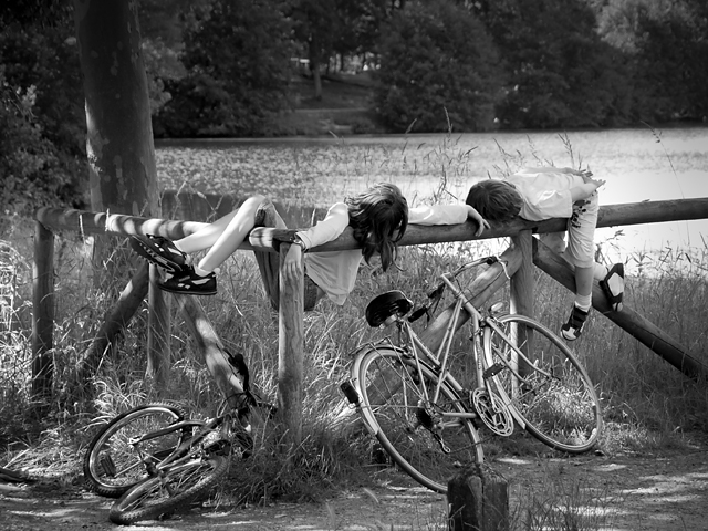 20130410164554_21062008_1_dsc_2795_2 20130410164554_21062008_1_dsc_2795_2