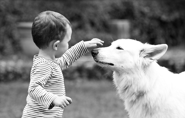 20130413130412_6116313749_0444d7291a_o 20130413130412_6116313749_0444d7291a_o