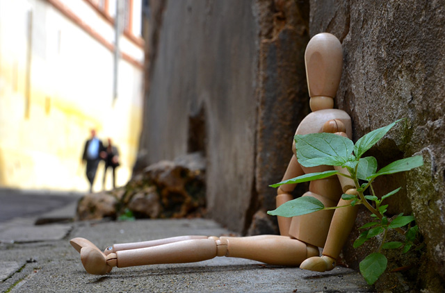 20130415183150_bois 20130415183150_bois