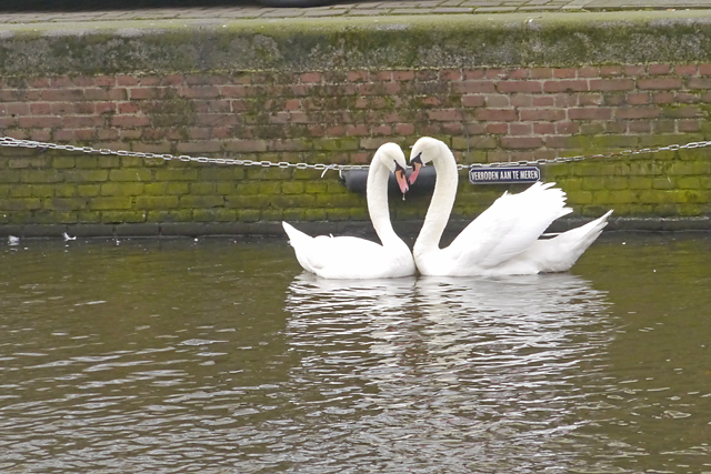20130415211820_volf_pierre_parade____accostage 20130415211820_volf_pierre_parade____accostage