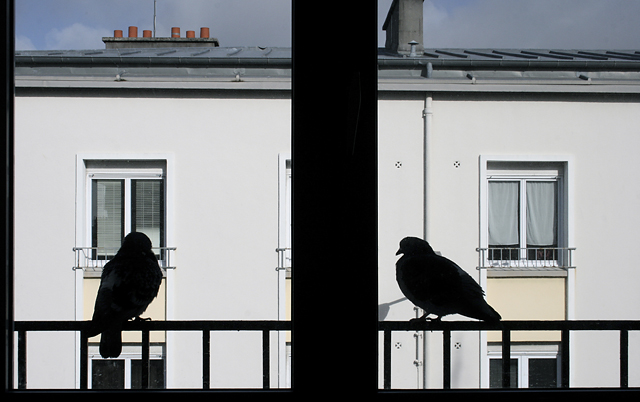 20130417115323_img_4356_hosszu_searâ 20130417115323_img_4356_hosszu_searâ