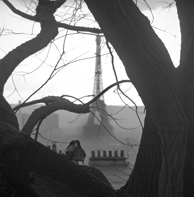 20130415192345__mg_0743_retouches 20130415192345__mg_0743_retouches