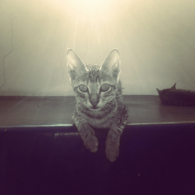 20130421124201_img_20130302_162035 20130421124201_img_20130302_162035