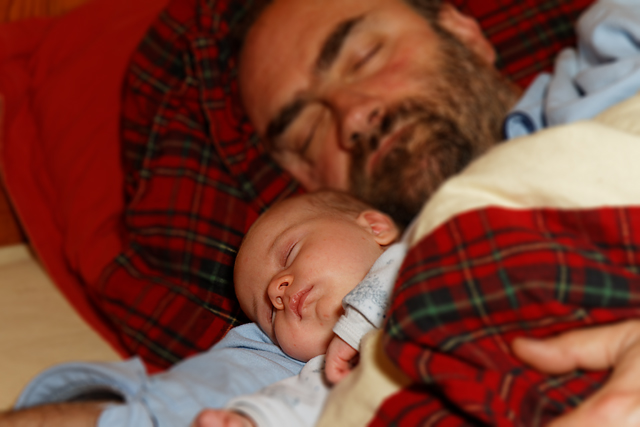 20130422134507_dodo copie 20130422134507_dodo copie