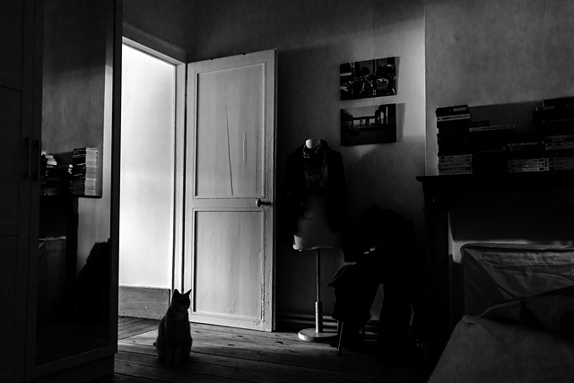 20130421184036_lechat 20130421184036_lechat