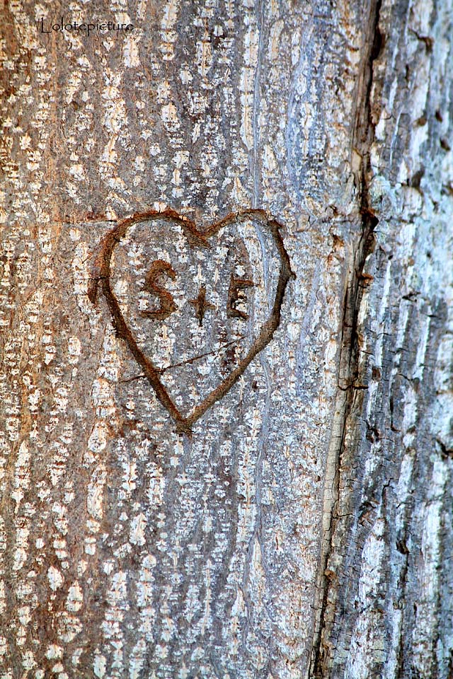 20130426222048_2 20130426222048_2